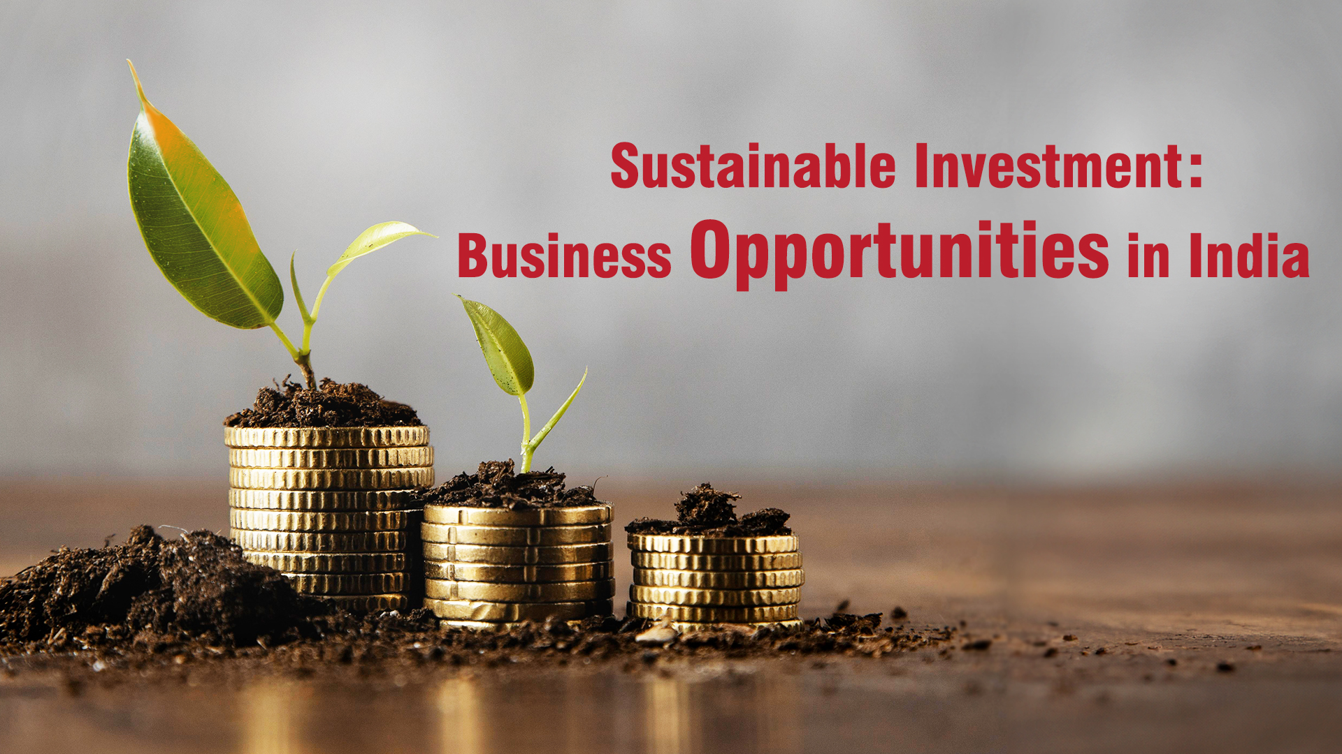 Sustainable Investment : Business Opportunities in India